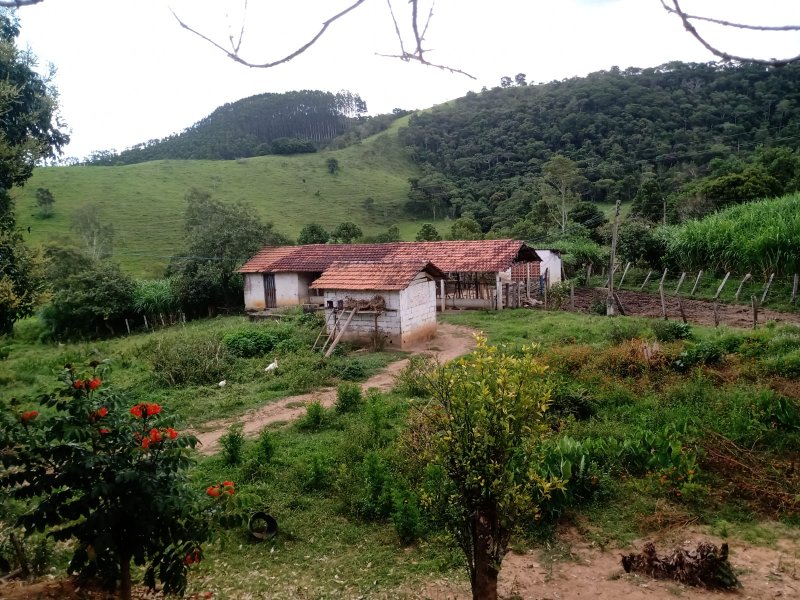 SÍTIO COM 29 HECTARES EM SÃO LUIZ DO PARAITINGA - SAO LUIS DO PARAITINGA - 