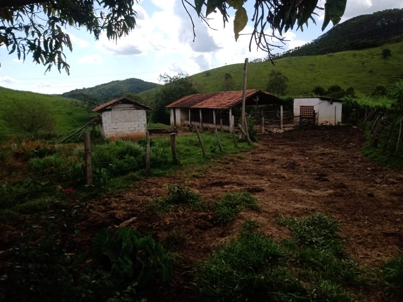 SÍTIO COM 29 HECTARES EM SÃO LUIZ DO PARAITINGA - SAO LUIS DO PARAITINGA - 