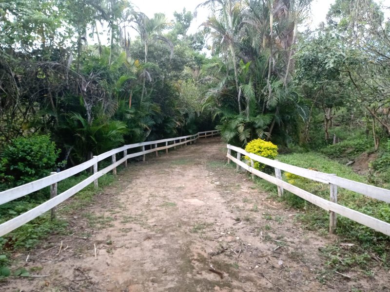SÍTIO COM 29 HECTARES EM SÃO LUIZ DO PARAITINGA - SAO LUIS DO PARAITINGA - 