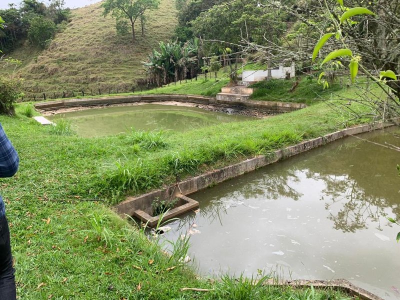 FAZENDA COM 135 HECTARES NO VALE DO PARAIBA - Pindamonhangaba - 