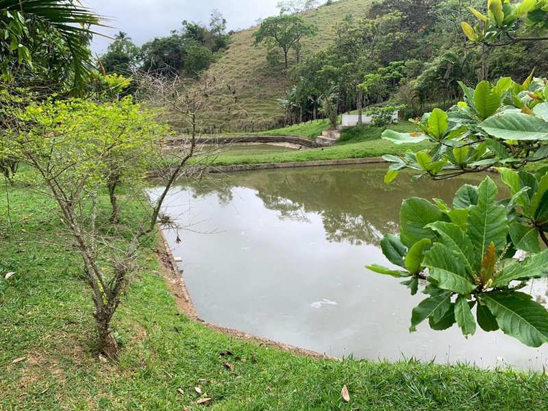 FAZENDA COM 135 HECTARES NO VALE DO PARAIBA - Pindamonhangaba - 