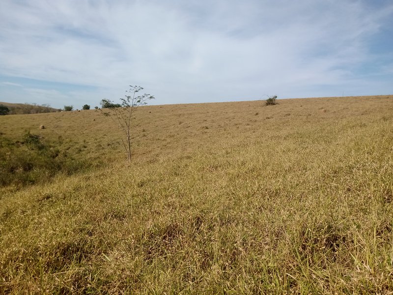 SÍTIO COM 33.8 HECTARES NO VALE DO PARAIBA - Caçapava - 