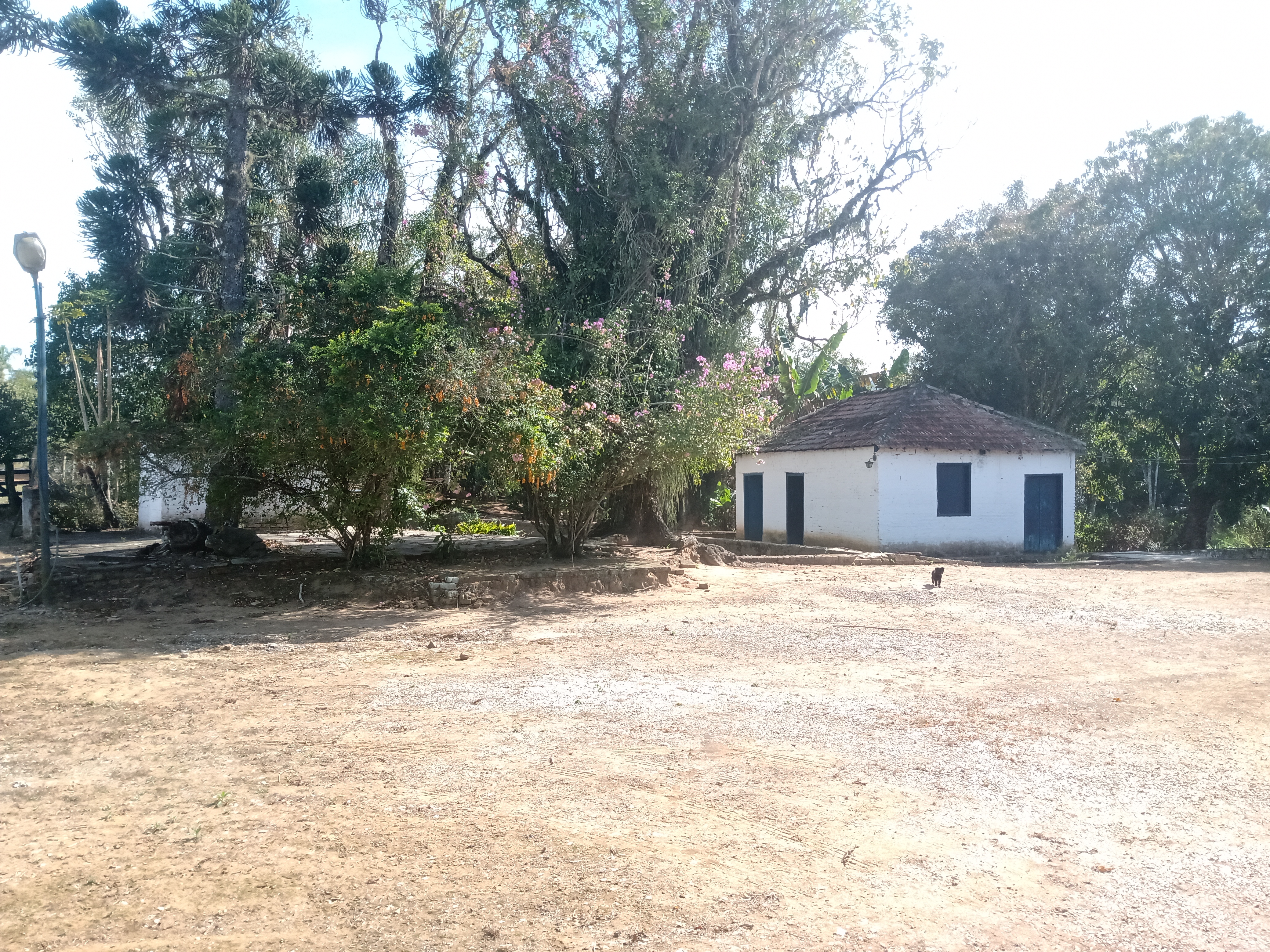 Sítio, 4 quartos, 34 m² - Foto 26