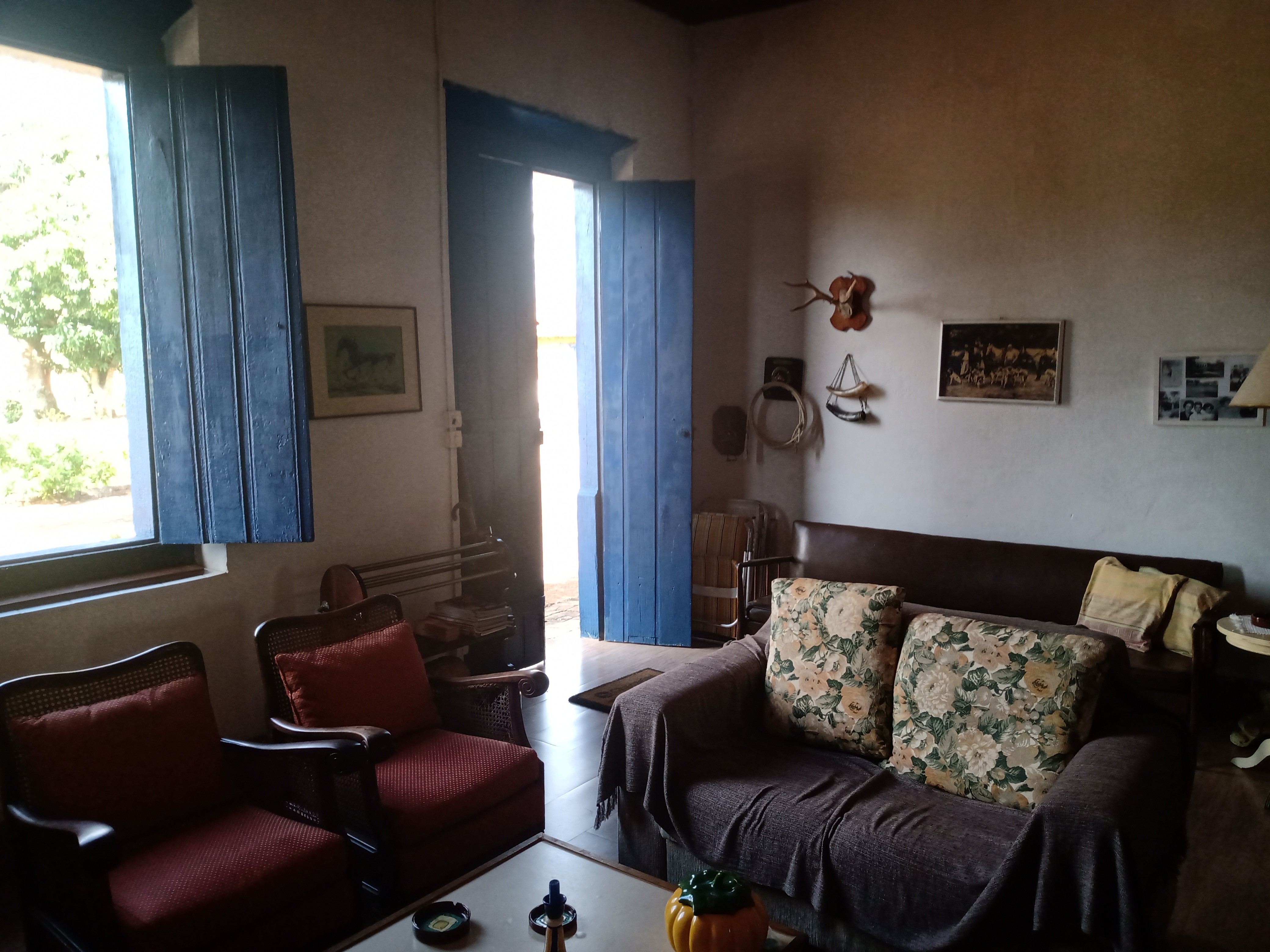 Sítio, 4 quartos, 34 m² - Foto 21