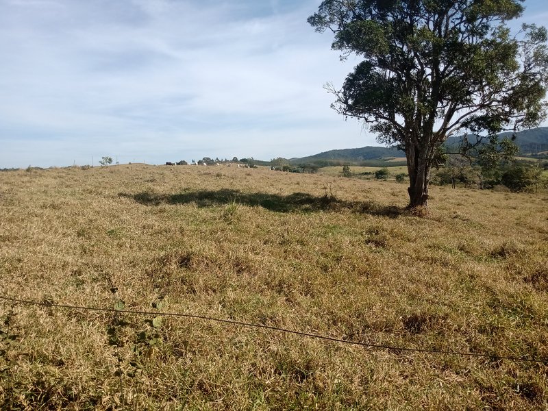 SÍTIO COM 33.8 HECTARES NO VALE DO PARAIBA - Caçapava - 