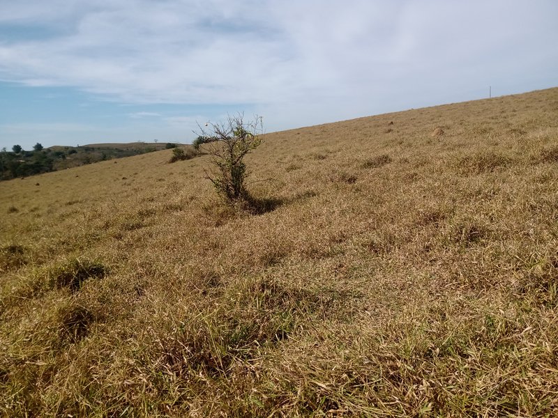 SÍTIO COM 33.8 HECTARES NO VALE DO PARAIBA - Caçapava - 