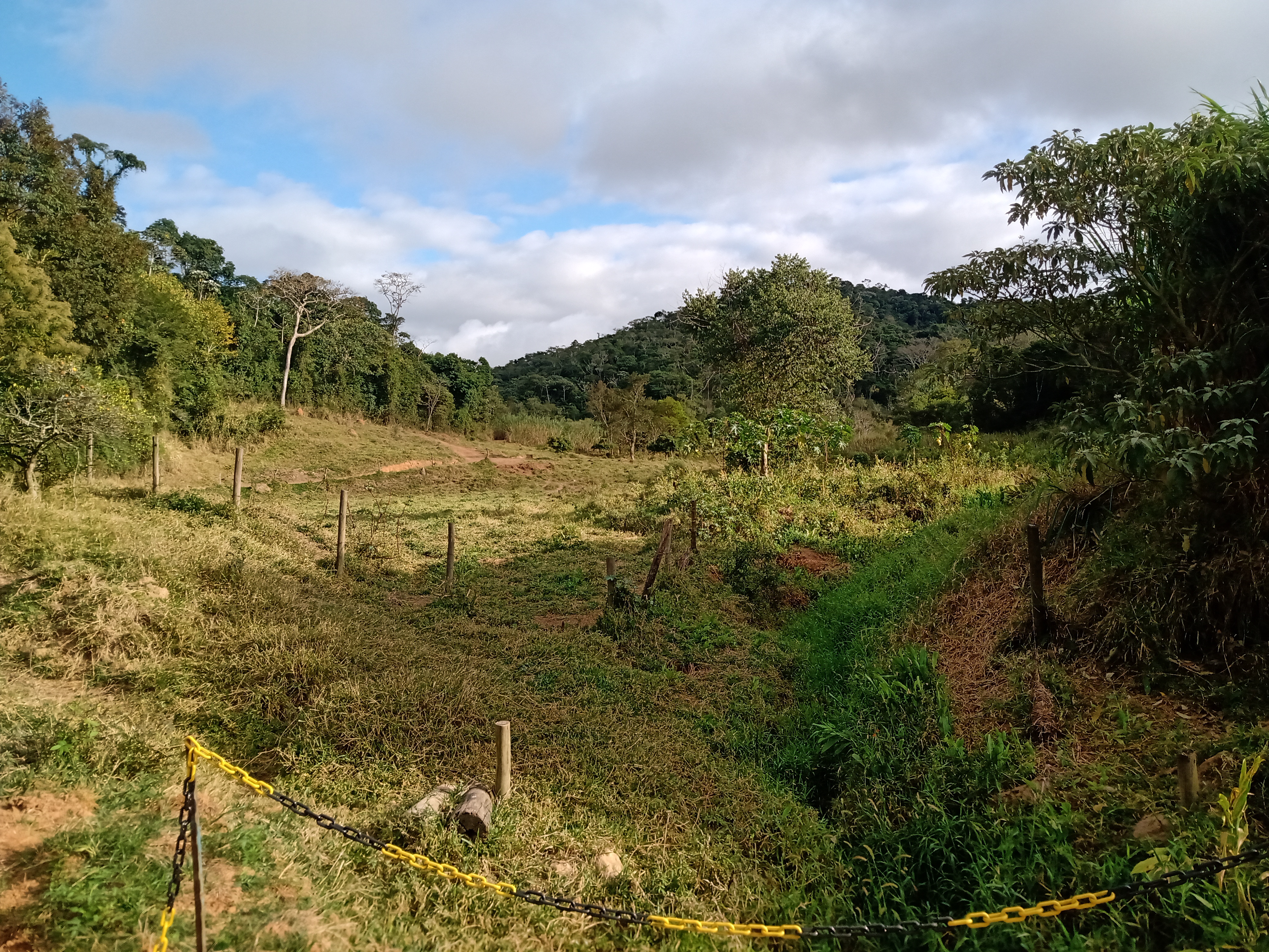 Fazenda, 10000 m² - Foto 4