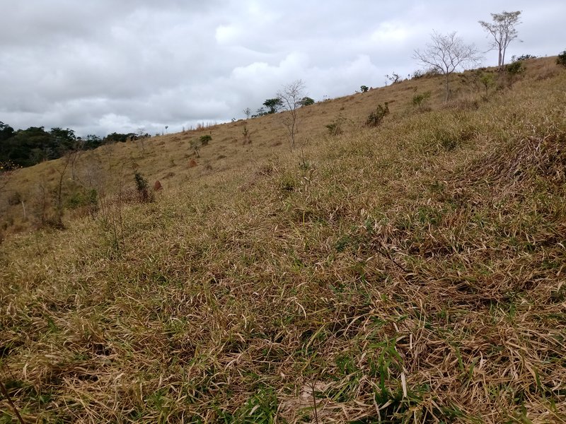 FAZENDA COM 87 HECTARES EM SÃO JOÉ DOS CAMPOS - São José dos Campos - 