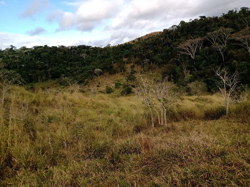 FAZENDA COM 87 HECTARES EM SÃO JOÉ DOS CAMPOS - São José dos Campos - 