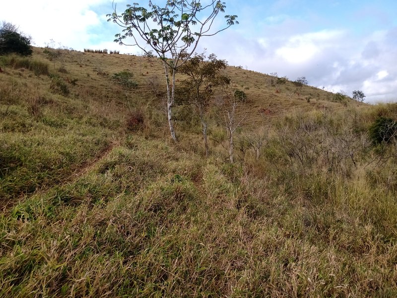 FAZENDA COM 87 HECTARES EM SÃO JOÉ DOS CAMPOS - São José dos Campos - 