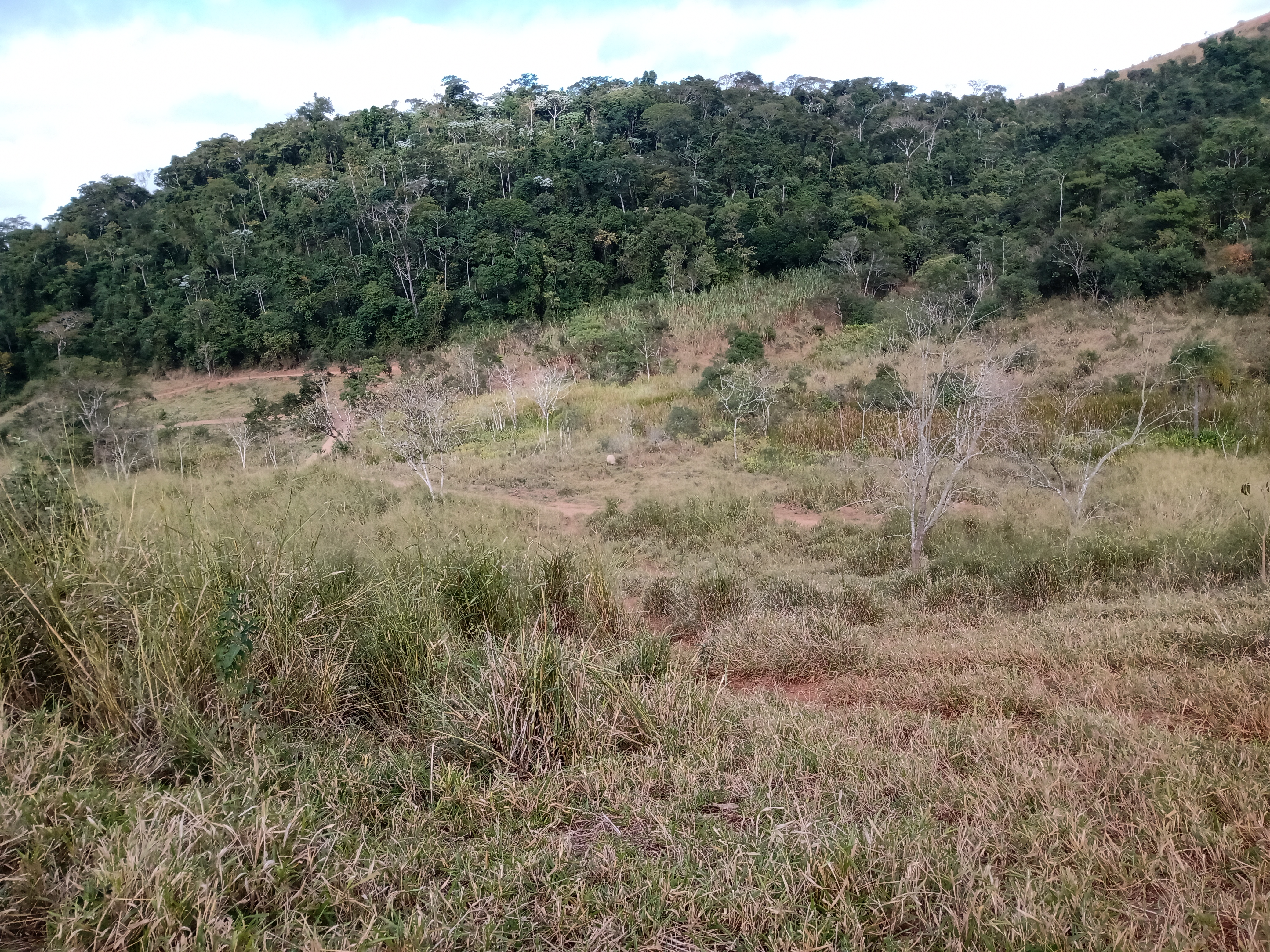 Fazenda, 10000 m² - Foto 11