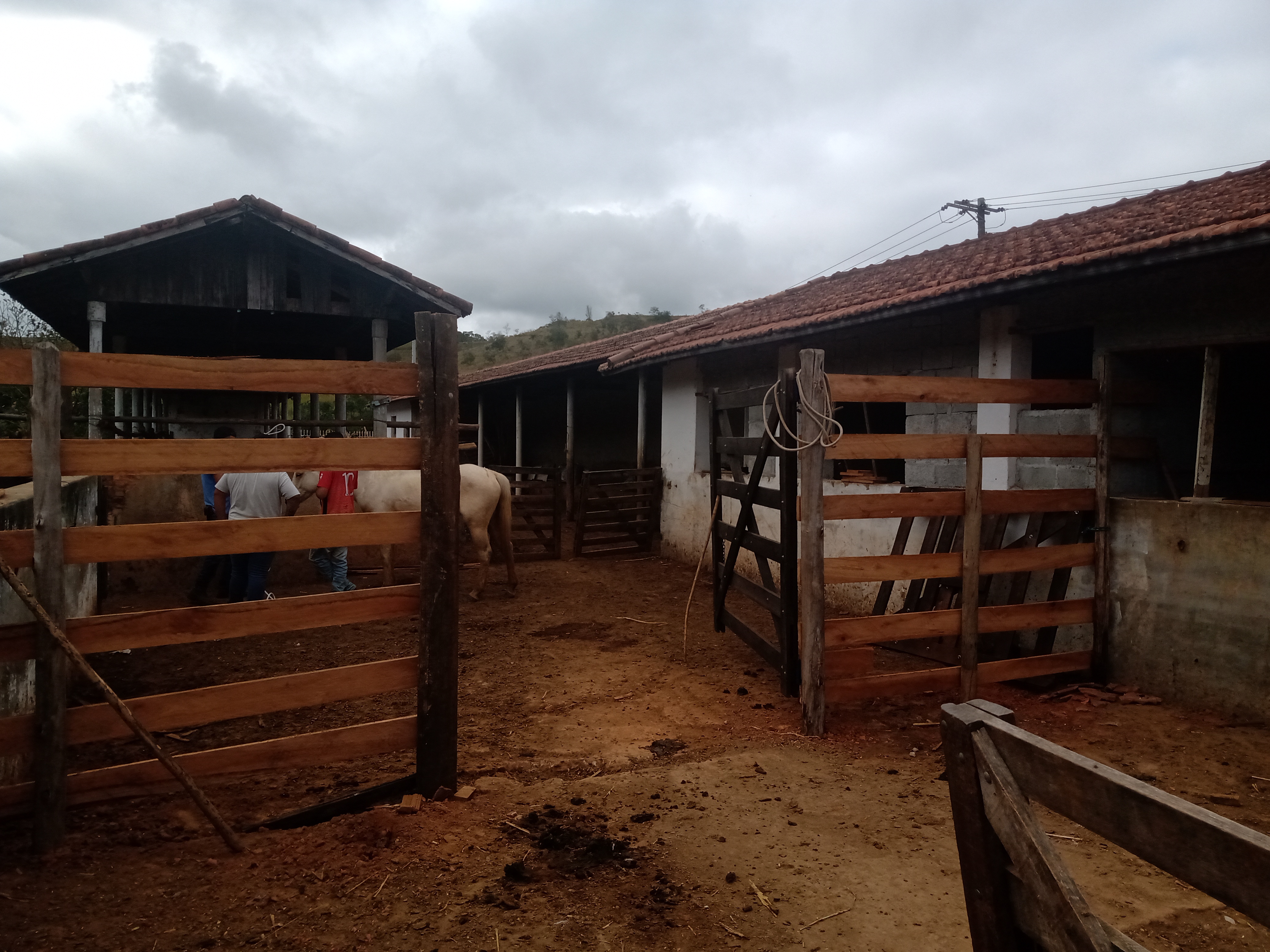 Fazenda, 10000 m² - Foto 1