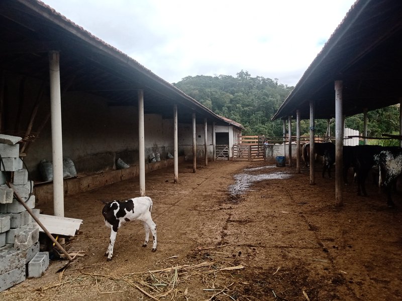 FAZENDA COM 87 HECTARES EM SÃO JOÉ DOS CAMPOS - São José dos Campos - 