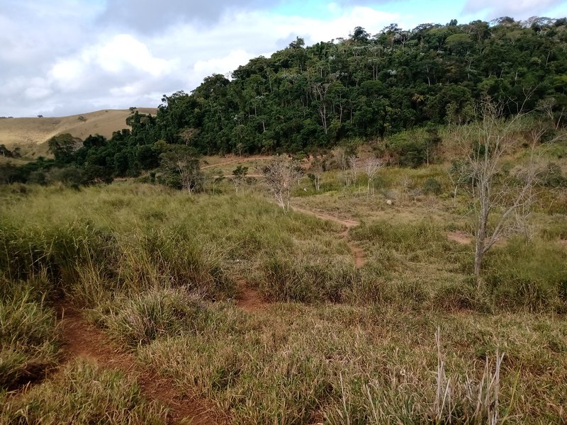 FAZENDA COM 87 HECTARES EM SÃO JOÉ DOS CAMPOS - São José dos Campos - 