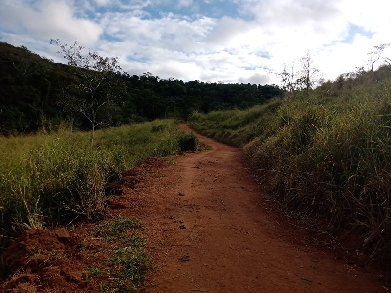 FAZENDA COM 87 HECTARES EM SÃO JOÉ DOS CAMPOS - São José dos Campos - 