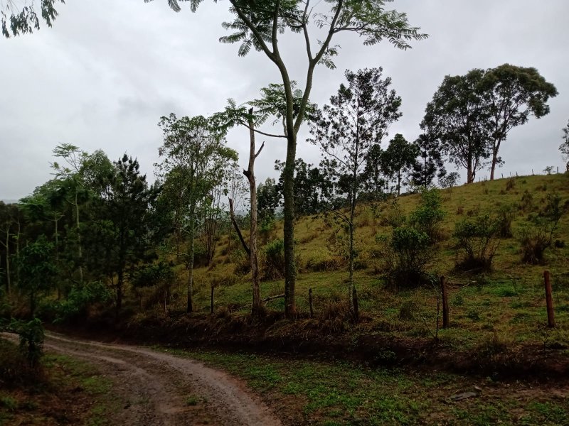 ÁREA COM 22.000 METROS EM DE SÃO JOSÉ DOS CAMPOS - São José dos Campos - 