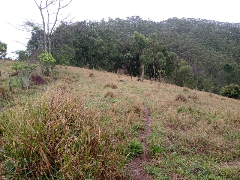 ÁREA COM 22.000 METROS EM DE SÃO JOSÉ DOS CAMPOS - São José dos Campos - 