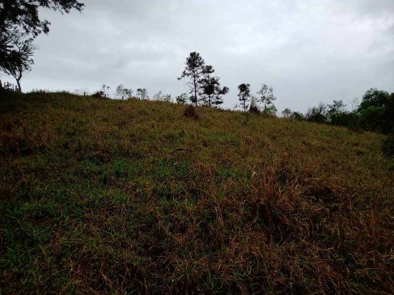 ÁREA COM 22.000 METROS EM DE SÃO JOSÉ DOS CAMPOS - São José dos Campos - 