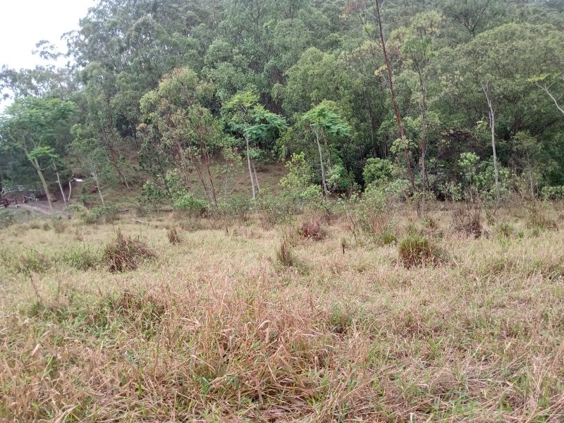 ÁREA COM 22.000 METROS EM DE SÃO JOSÉ DOS CAMPOS - São José dos Campos - 