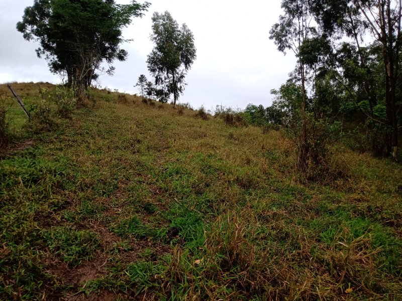 ÁREA COM 22.000 METROS EM DE SÃO JOSÉ DOS CAMPOS - São José dos Campos - 