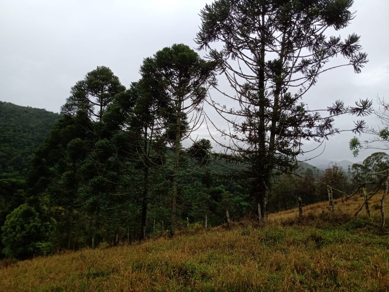 ÁREA COM 22.000 METROS EM DE SÃO JOSÉ DOS CAMPOS - São José dos Campos - 