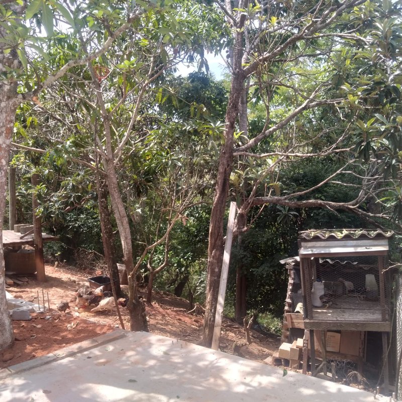 CHÁCARA COM 2.000 METROS EM SANTA BRANCA NA REPRESA - SANTA BRANCA - 