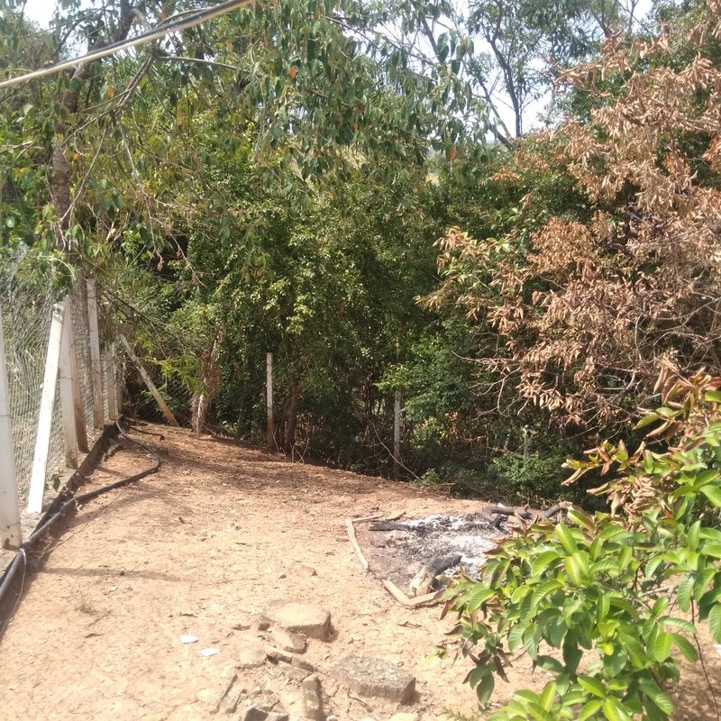 CHÁCARA COM 2.000 METROS EM SANTA BRANCA NA REPRESA - SANTA BRANCA - 