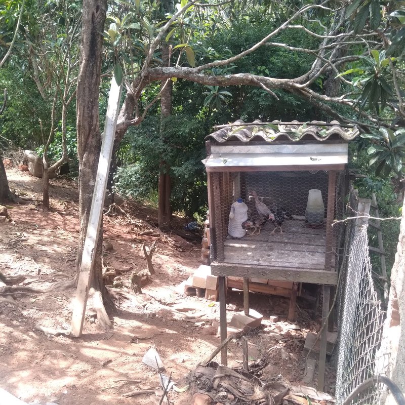 CHÁCARA COM 2.000 METROS EM SANTA BRANCA NA REPRESA - SANTA BRANCA - 