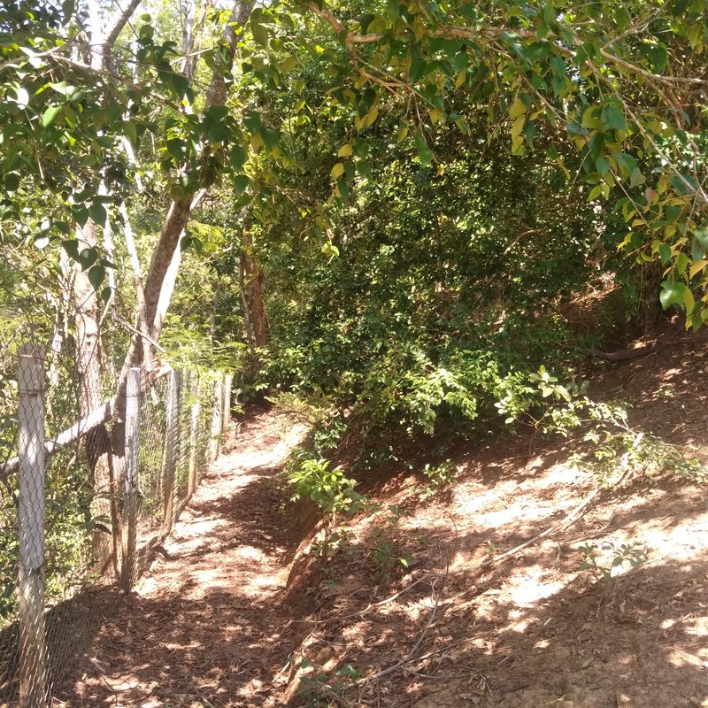 CHÁCARA COM 2.000 METROS EM SANTA BRANCA NA REPRESA - SANTA BRANCA - 