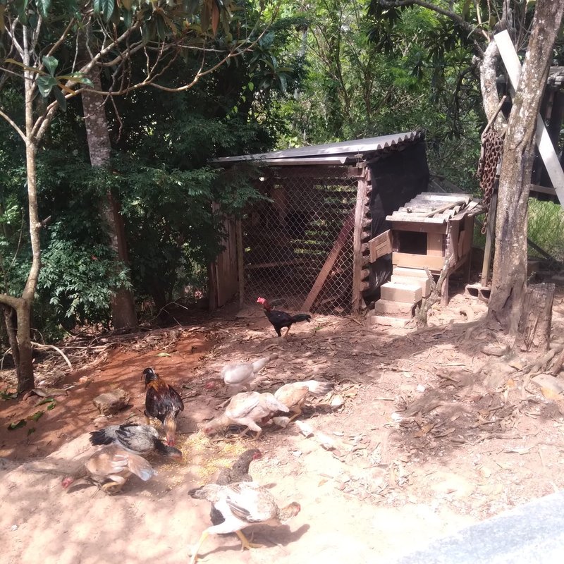CHÁCARA COM 2.000 METROS EM SANTA BRANCA NA REPRESA - SANTA BRANCA - 