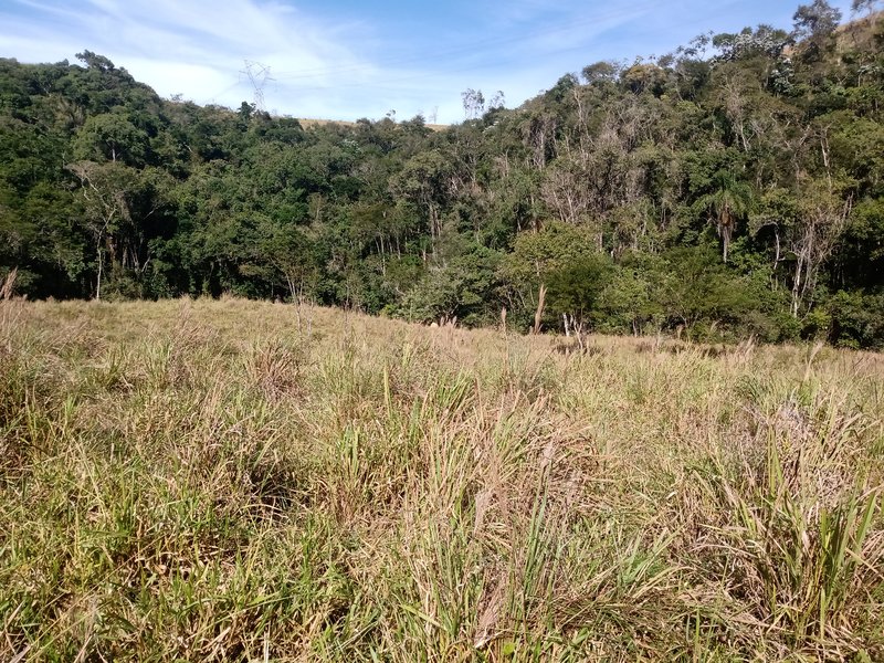 ÁREA RURAL COM 26 HECTARES EM MONTEIRO LOBATO - MONTEIRO LOBATO - 