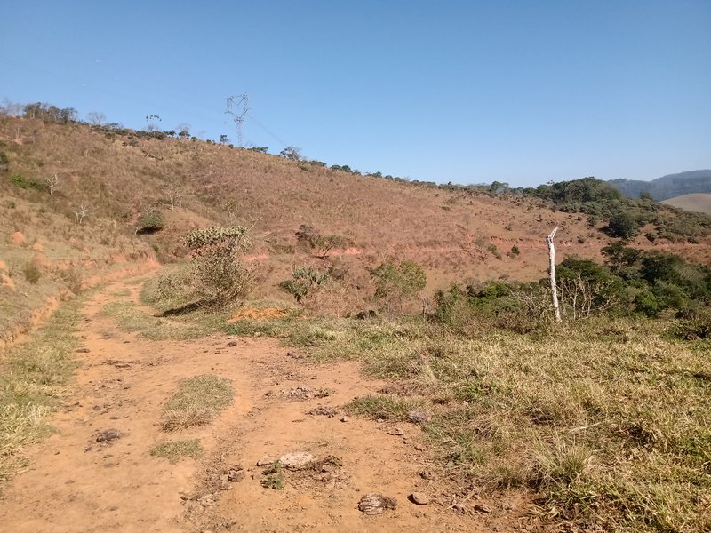 ÁREA RURAL COM 26 HECTARES EM MONTEIRO LOBATO - MONTEIRO LOBATO - 