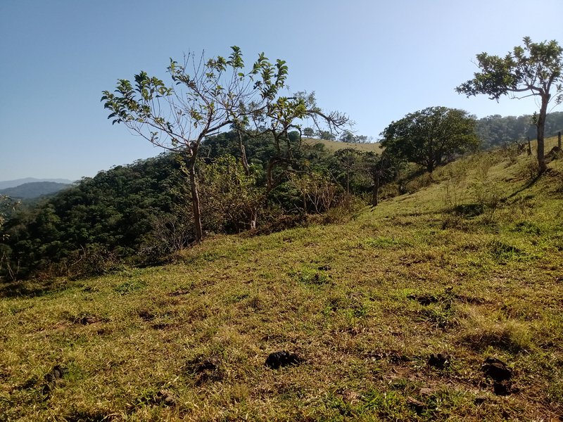 ÁREA RURAL COM 26 HECTARES EM MONTEIRO LOBATO - MONTEIRO LOBATO - 
