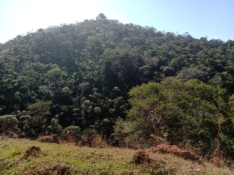 ÁREA RURAL COM 26 HECTARES EM MONTEIRO LOBATO - MONTEIRO LOBATO - 
