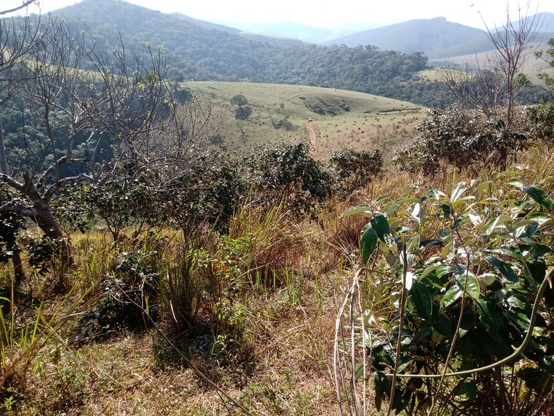 ÁREA RURAL COM 26 HECTARES EM MONTEIRO LOBATO - MONTEIRO LOBATO - 