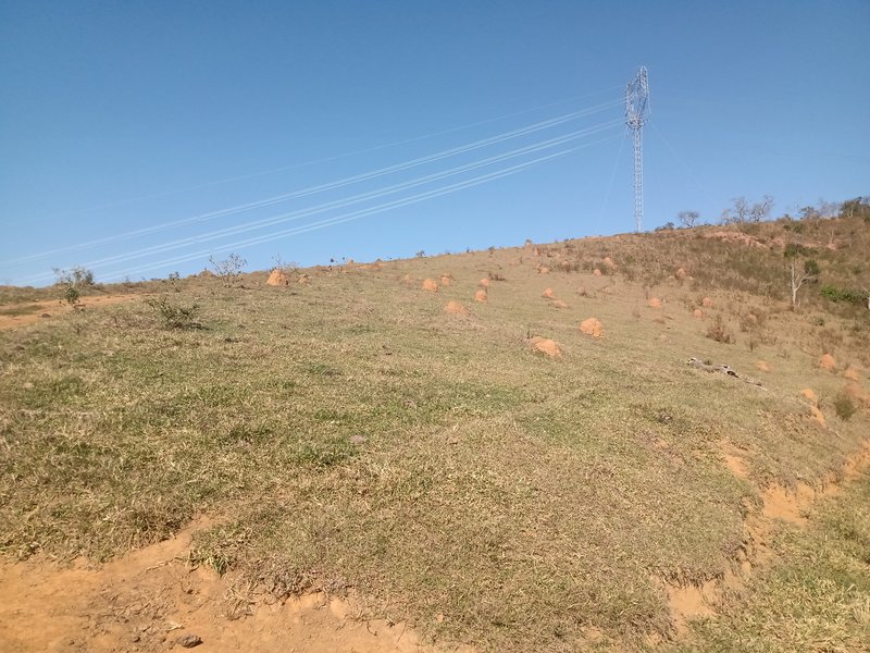 ÁREA RURAL COM 26 HECTARES EM MONTEIRO LOBATO - MONTEIRO LOBATO - 