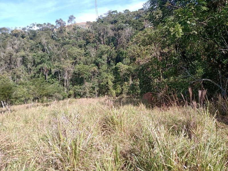 ÁREA RURAL COM 26 HECTARES EM MONTEIRO LOBATO - MONTEIRO LOBATO - 