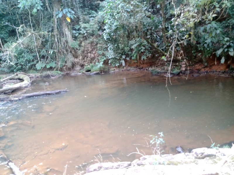 ÁREA RURAL COM 26 HECTARES EM MONTEIRO LOBATO - MONTEIRO LOBATO - 