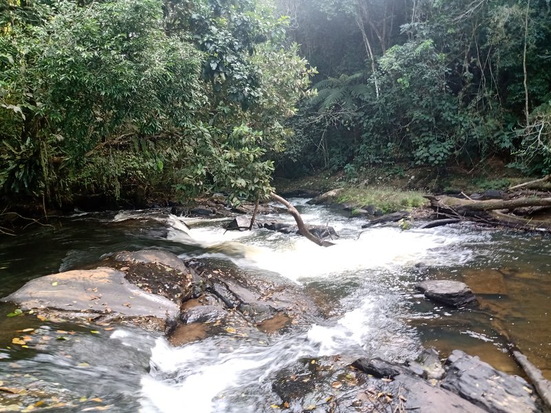 ÁREA RURAL COM 26 HECTARES EM MONTEIRO LOBATO - MONTEIRO LOBATO - 