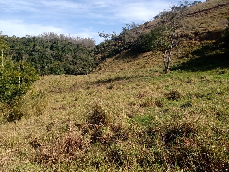 ÁREA RURAL COM 26 HECTARES EM MONTEIRO LOBATO - MONTEIRO LOBATO - 