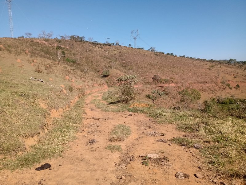 ÁREA RURAL COM 26 HECTARES EM MONTEIRO LOBATO - MONTEIRO LOBATO - 