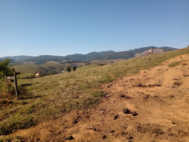 ÁREA RURAL COM 26 HECTARES EM MONTEIRO LOBATO - MONTEIRO LOBATO - 