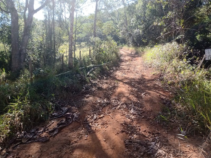 ÁREA RURAL COM 26 HECTARES EM MONTEIRO LOBATO - MONTEIRO LOBATO - 