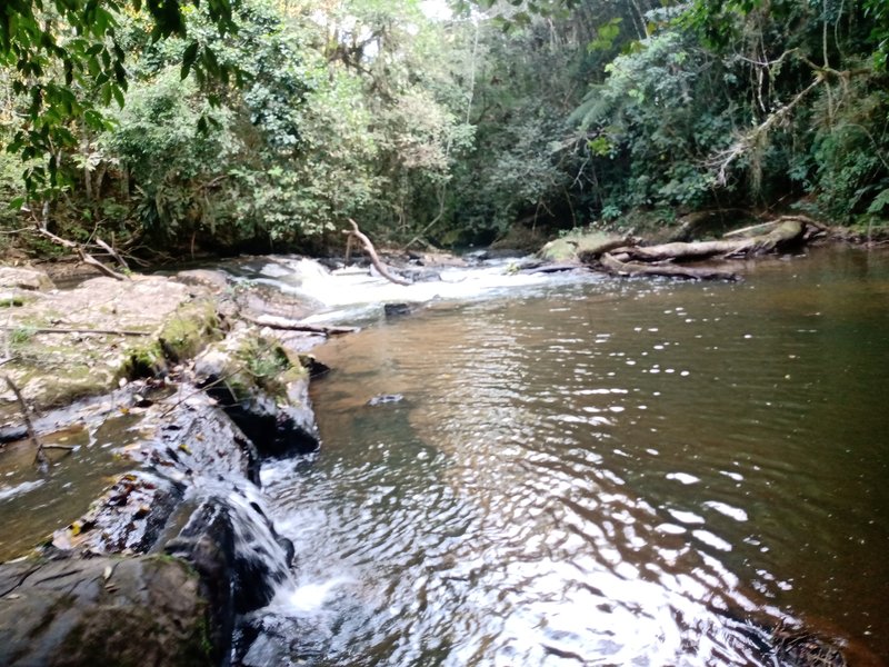 ÁREA RURAL COM 26 HECTARES EM MONTEIRO LOBATO - MONTEIRO LOBATO - 