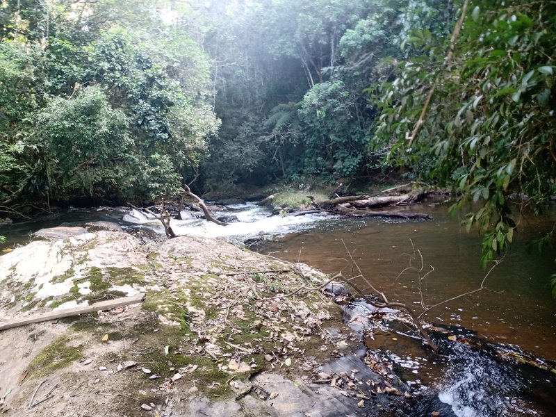 ÁREA RURAL COM 26 HECTARES EM MONTEIRO LOBATO - MONTEIRO LOBATO - 