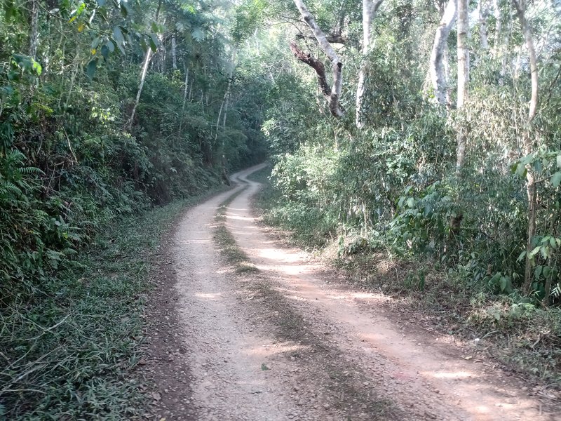 ÁREA RURAL COM 26 HECTARES EM MONTEIRO LOBATO - MONTEIRO LOBATO - 