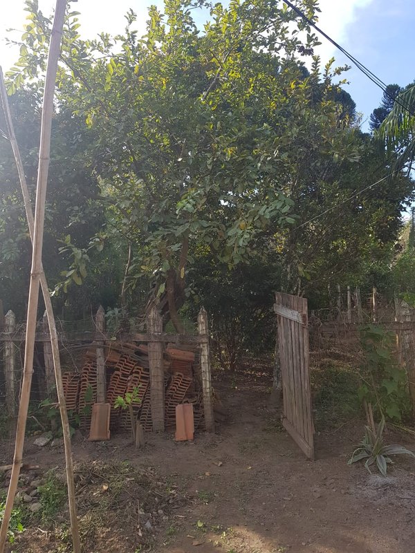 CHÁCARA COM 1.500 METROS EM SAPUCAÍ MIRIM - SAPUCAI-MIRIM - 