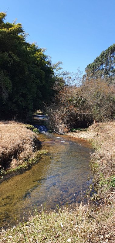 CHÁCARA COM 1.500 METROS EM SAPUCAÍ MIRIM - SAPUCAI-MIRIM - 