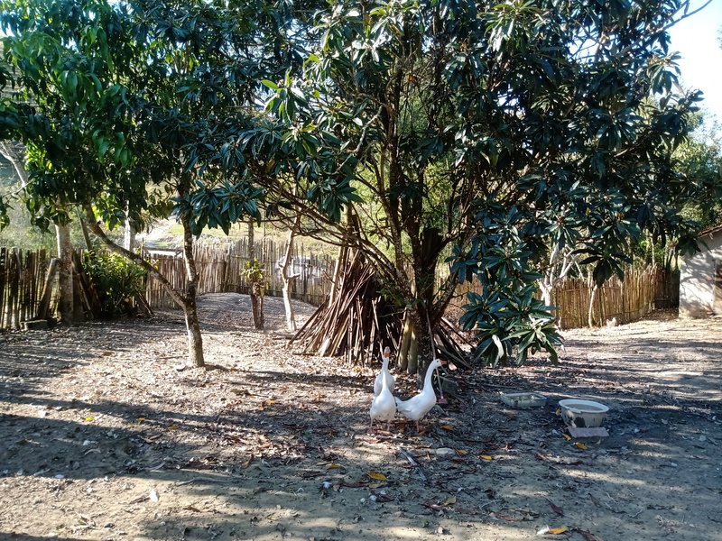 SÍTIO COM 12 HECTARES EM SÃO JOSÉ DOS CAMPOS - São José dos Campos - 