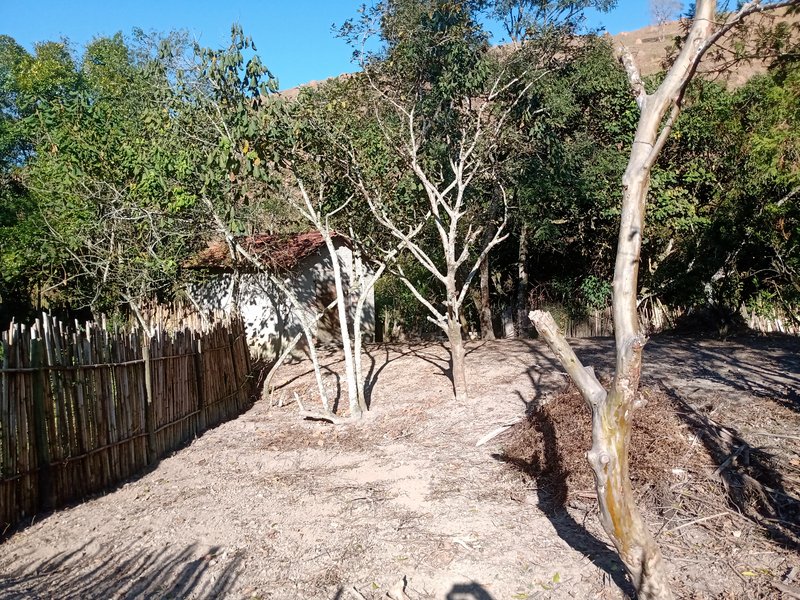 SÍTIO COM 12 HECTARES EM SÃO JOSÉ DOS CAMPOS - São José dos Campos - 